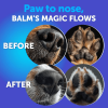 Natural Paw & Nose Balm for Dogs – Cracked Paw Pad Relief & Pavement Protection