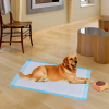300 Pcs 17" x 24" Pet Wee Pee Piddle Pad