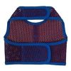 Active Mesh Dog Harness with Leash