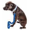 Pet Life 'Aero Mesh' Dual Sided Comfortable And Breathable Adjustable Mesh Dog Leash