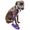 Pet Life 'Aero Mesh' Dual Sided Comfortable And Breathable Adjustable Mesh Dog Leash