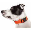 Pet Life 'Aero Mesh' 360 Degree Dual Sided Comfortable And Breathable Adjustable Mesh Dog Collar