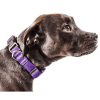 Pet Life 'Aero Mesh' 360 Degree Dual Sided Comfortable And Breathable Adjustable Mesh Dog Collar
