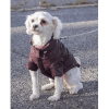 Lightweight Adjustable 'Sporty Avalanche' Pet Coat