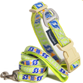 Touchdog 'Chain Printed' Tough Stitched Embroidered Collar and Leash (Size: Small)
