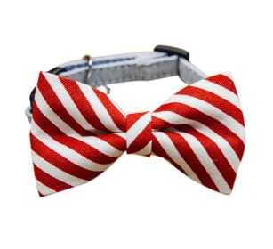 Adjustable Dog Cat Neck Tie Gentleman Dog Collar 6-11 Inches (Size: 6-11 Inches, Color: Red Stripe)
