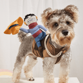 Cowboy Rider Pet Costume, Funny Dog Costume For Small Medium Dogs & Cats, Pet Clothes (Color: Mixed Color, Sizing: S)