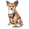 Pet Life Luxe 'Dapperbone' 2-In-1 Mesh Reversed Adjustable Dog Harness-Leash W/ Fashion Bowtie