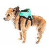 Pet Life 'Dumbone' Dual-Pocketed Compartmental Animated Dog Harness Backpack