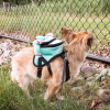 Pet Life 'Dumbone' Dual-Pocketed Compartmental Animated Dog Harness Backpack