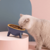 Raised Tilted Elevated Cat Food Bowl Pet Backflow Prevention Water Dish Feeding Bowl for Cats Small Dogs