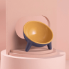 Raised Tilted Elevated Cat Food Bowl Pet Backflow Prevention Water Dish Feeding Bowl for Cats Small Dogs