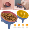 Raised Tilted Elevated Cat Food Bowl Pet Backflow Prevention Water Dish Feeding Bowl for Cats Small Dogs