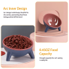 Raised Tilted Elevated Cat Food Bowl Pet Backflow Prevention Water Dish Feeding Bowl for Cats Small Dogs
