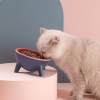 Raised Tilted Elevated Cat Food Bowl Pet Backflow Prevention Water Dish Feeding Bowl for Cats Small Dogs