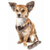 Pet Life Luxe 'Houndsome' 2-In-1 Mesh Reversible Plaided Collared Adjustable Dog Harness-Leash