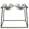 Pyramid Elevated Double Dog Feeder