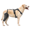 Adjustable Dog Knee Brace for Leg – ACL Support & Pain Relief