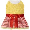 Movie Theater Popcorn Dog Dress with Matching Leash