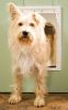 PetSafe Plastic Dog Door
