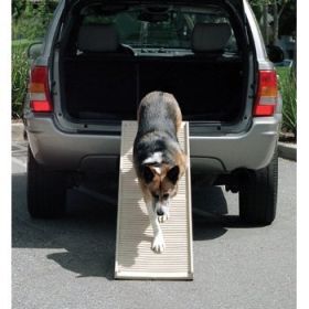 PetStep Dog Ramp (Option: Folding Ramp)