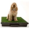 Pet Loo Potty Training System