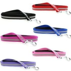 Basic Reflective Dog Leash (Color: Raspberry Pink)