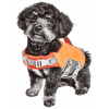 Dog Helios 'Tidal Guard' Multi-Point Strategically-Stitched Reflective Pet Dog Life Jacket Vest