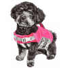 Dog Helios 'Tidal Guard' Multi-Point Strategically-Stitched Reflective Pet Dog Life Jacket Vest