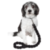 Pet Life Tough-Tugger Industrial-Strength Shock Absorption Woven Dog Leash
