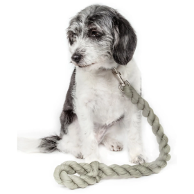 Pet Life Tough-Tugger Industrial-Strength Shock Absorption Woven Dog Leash (Color: Olive)