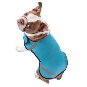 Extreme Neoprene Multi-Purpose Protective Shell Dog Coat (Size: Small, Color: Blue.)