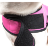 Extreme Neoprene Multi-Purpose Protective Shell Dog Coat